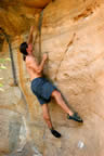 IMG_0594copy.jpg (63kb)