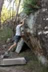 IMG_0633copy.jpg (82kb)