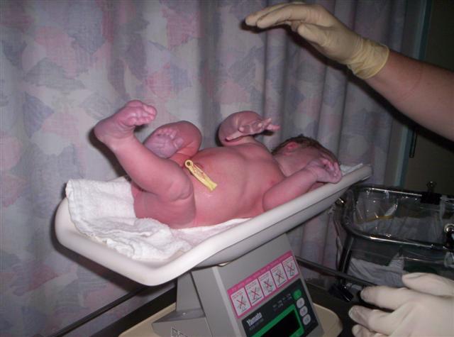 Wow 4020 grams (9lb 4)