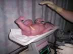 Wow 4020 grams (9lb 4) (395kb)