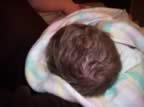 Blond tips already - Stefans??? (362kb)