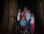 Waters Children at Springwood with Cousins (42kb)